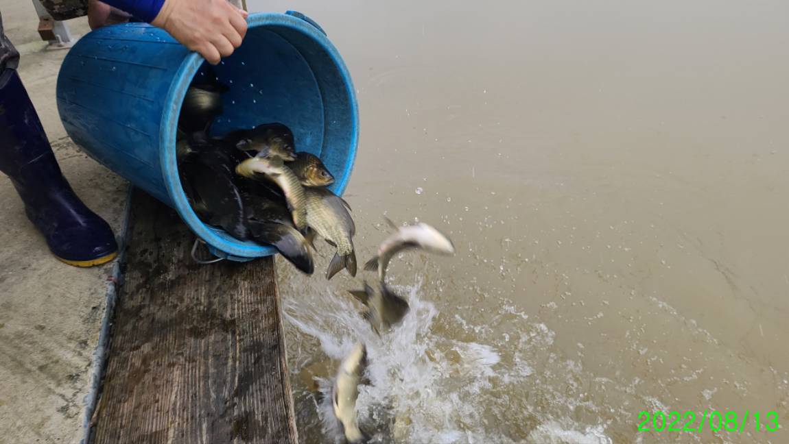 [꾸미기]8 (3).jpg