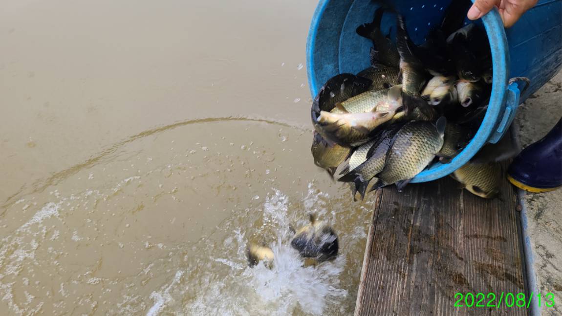 [꾸미기]8 (7).jpg