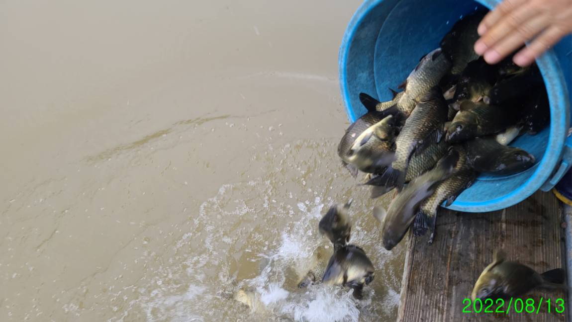 [꾸미기]8 (8).jpg