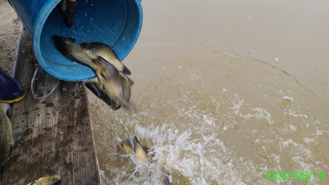 [꾸미기]8 (11).jpg