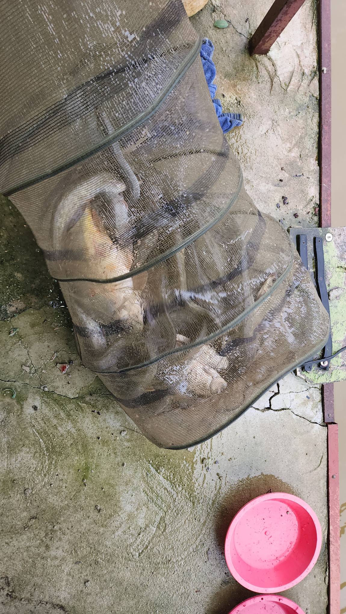 밤낚시를 ㅇ책임져드립니다