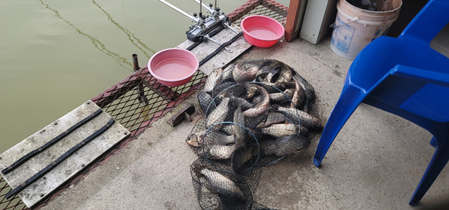 가깝고 물좋고 경치 좋은곳~~!!-용인삼인낚시터-