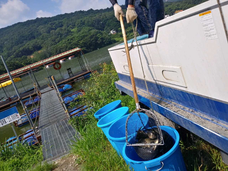 [꾸미기]17 (5).jpg