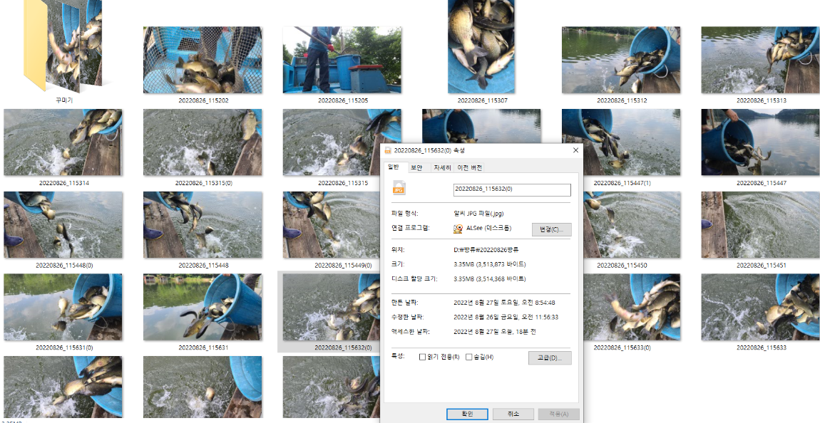 사용자 지정 1.png