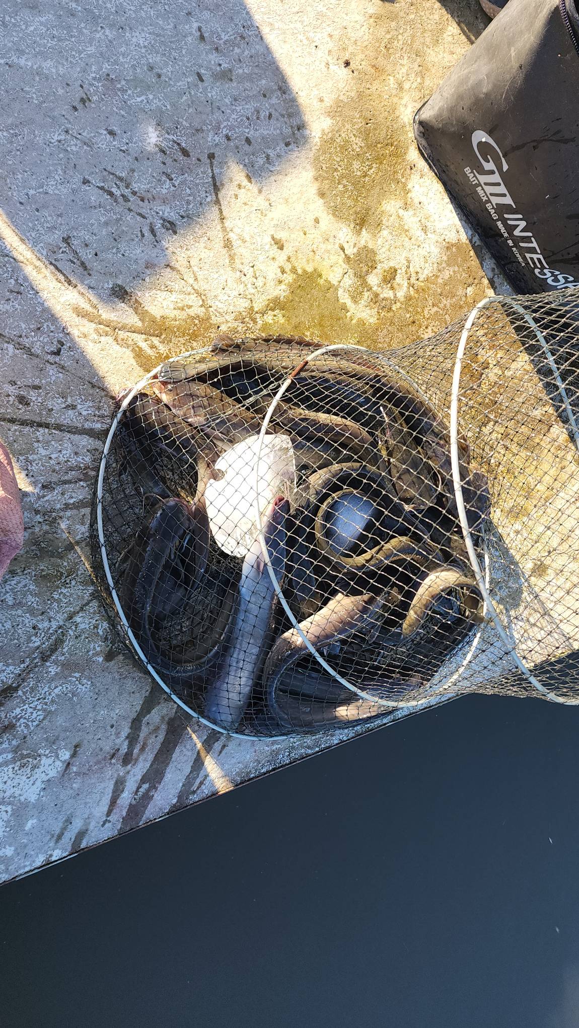 늘~~ 같을 수는 없는 독정낚시터