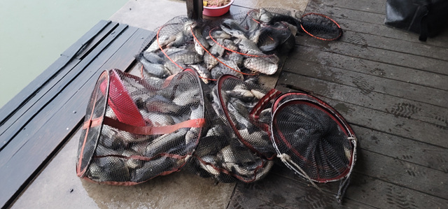 가깝고 물좋고 경치 좋은곳~~!!-용인삼인낚시터-