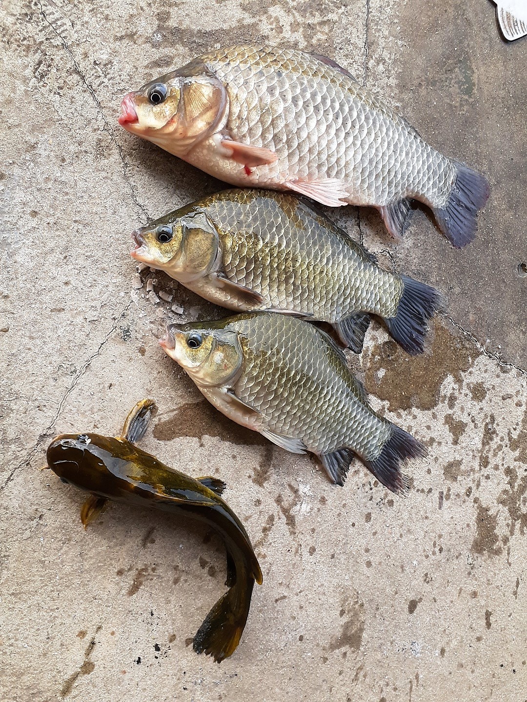 KakaoTalk_20220824_185119328_01.jpg