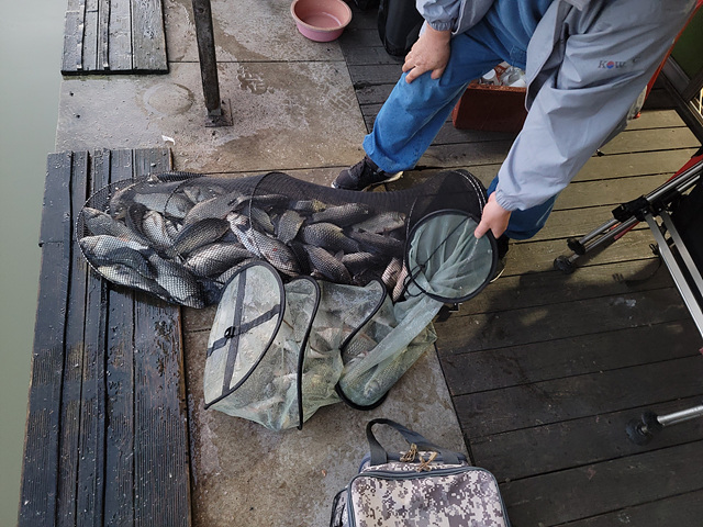 가깝고 물좋고 경치 좋은곳~~!!-용인삼인낚시터-