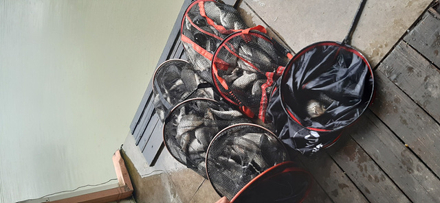 가깝고 물좋고 경치 좋은곳~~!!-용인삼인낚시터-