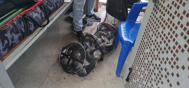 추석명절 연휴 정상 영업합니다~~!!-용인삼인낚시터-