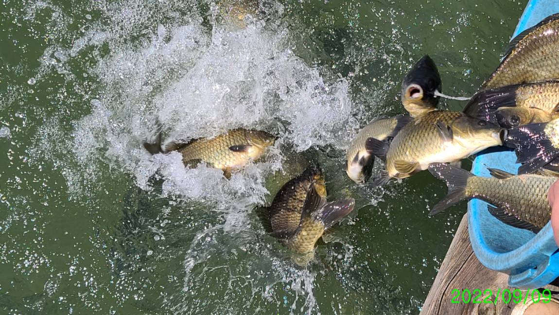 [꾸미기]0 (3).jpg