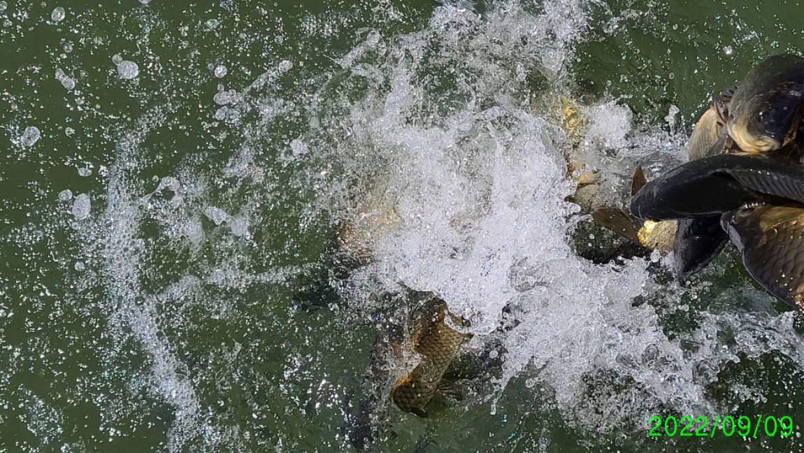 [꾸미기]0 (4).jpg