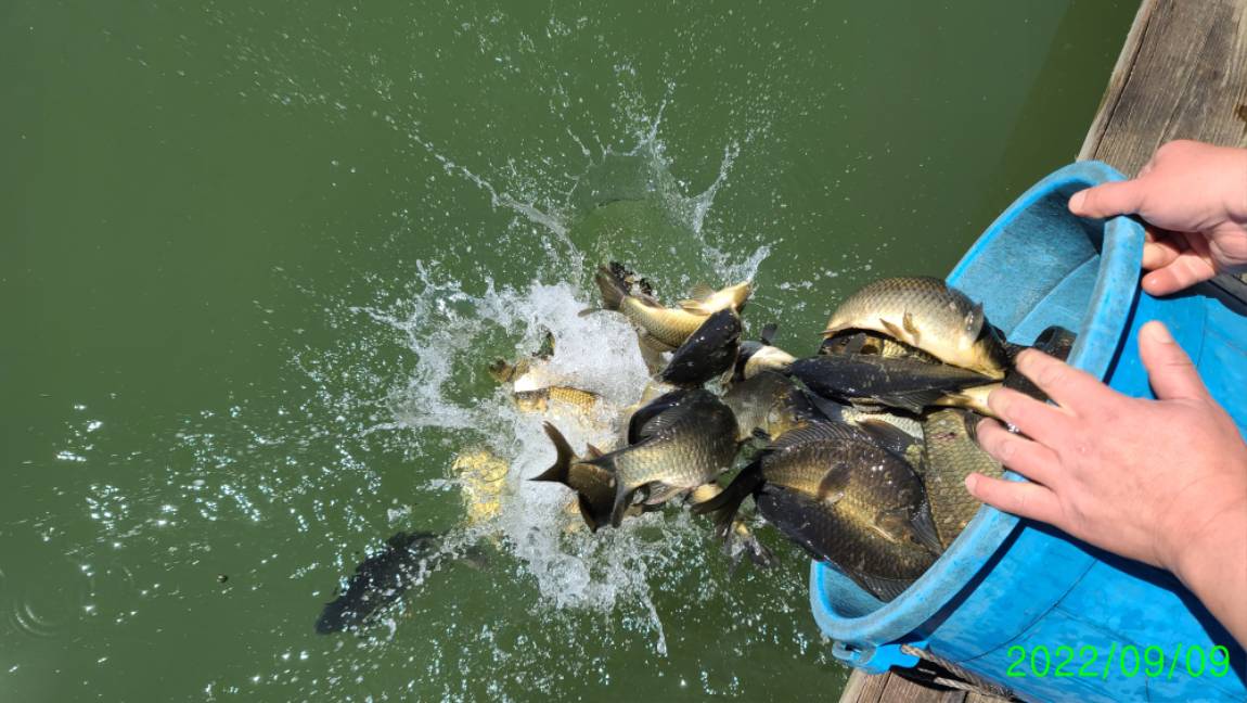 [꾸미기]0 (5).jpg