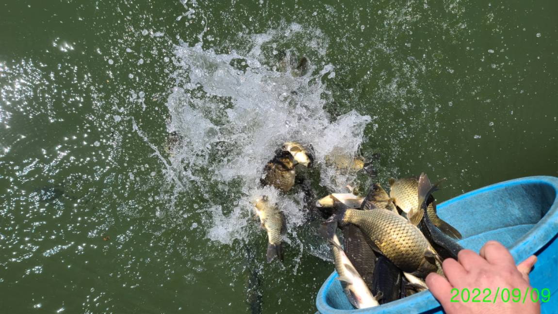 [꾸미기]0 (6).jpg