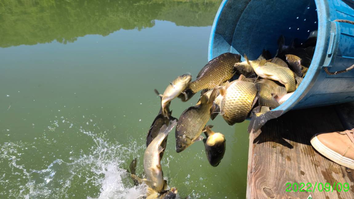 [꾸미기]0 (8).jpg