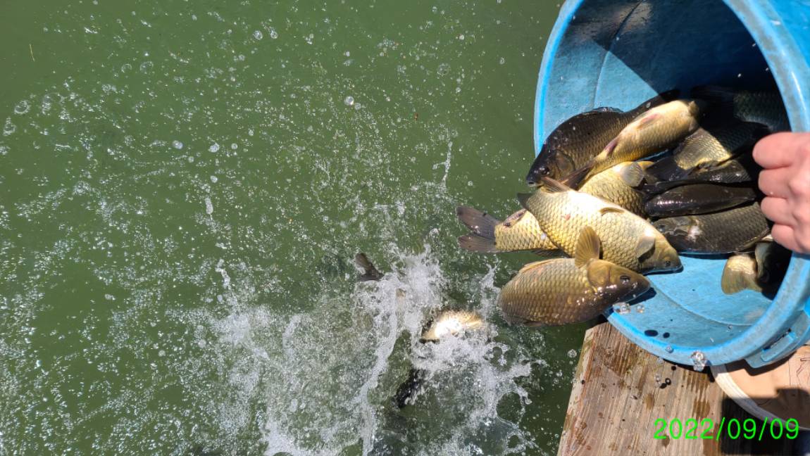 [꾸미기]0 (9).jpg