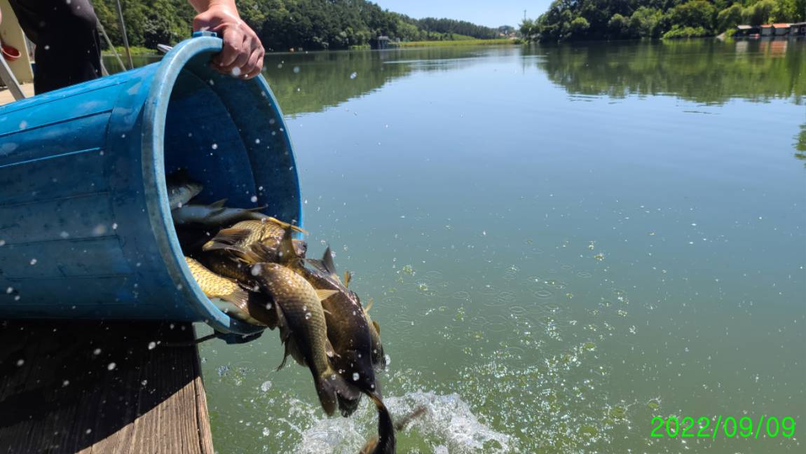 [꾸미기]0 (12).jpg