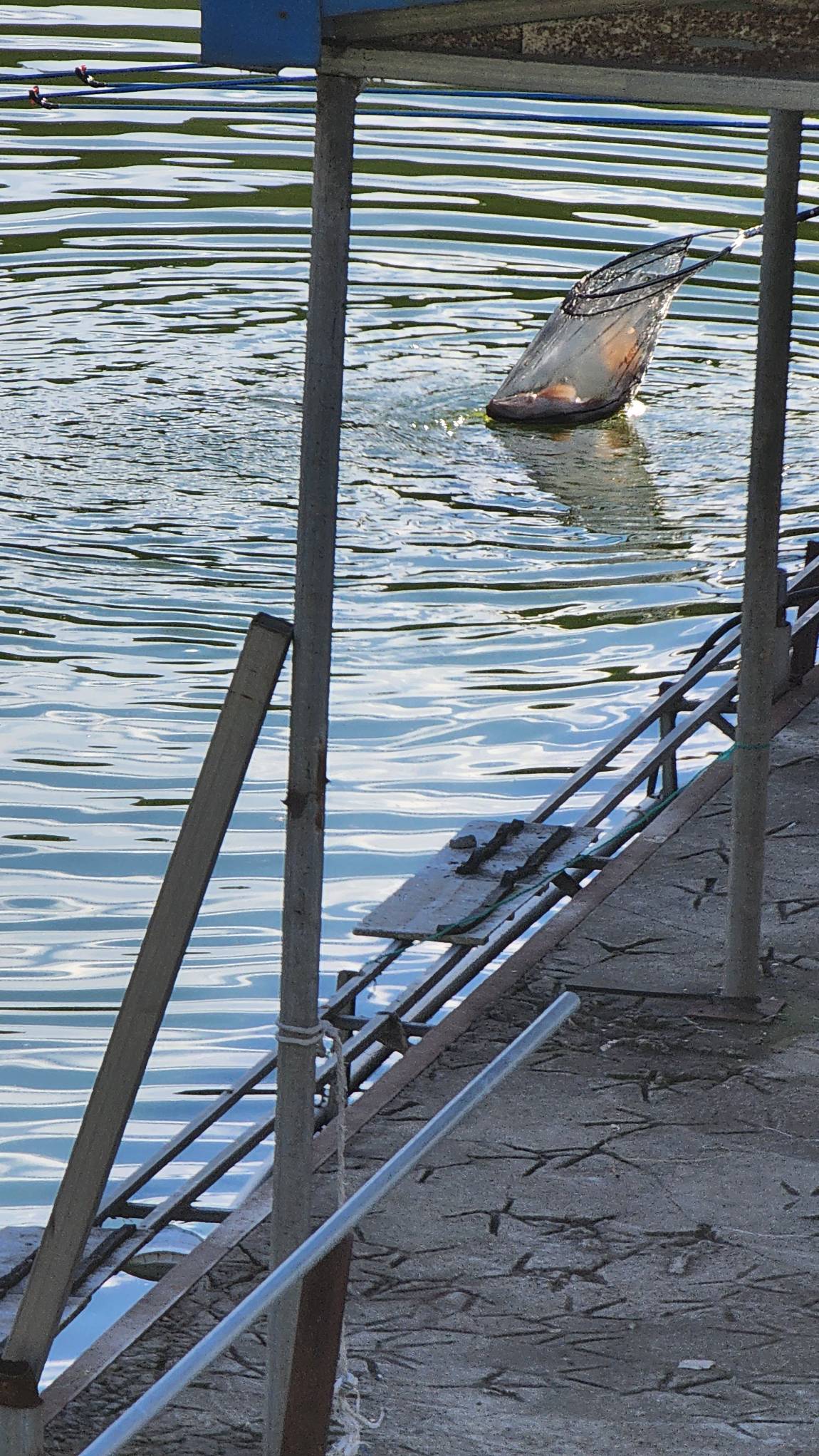 가을에 말만 살찔까??