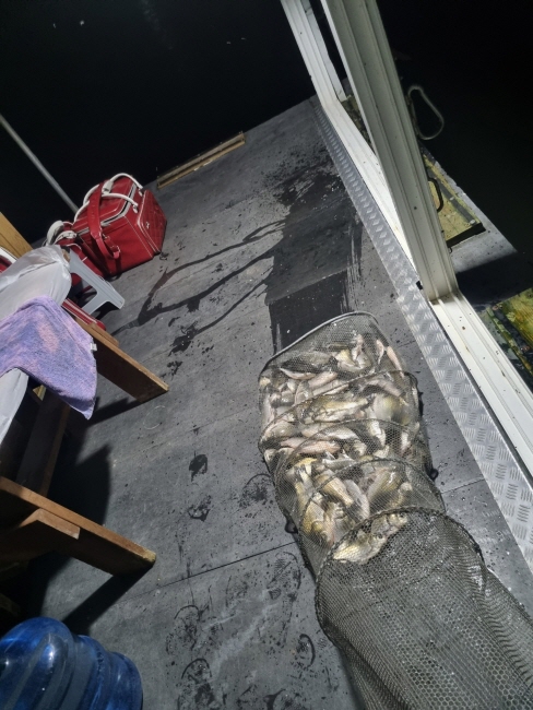 912-Resized_20220915_011813_KDRBNBGGDBJIGDDBFATEDACBCF.jpeg