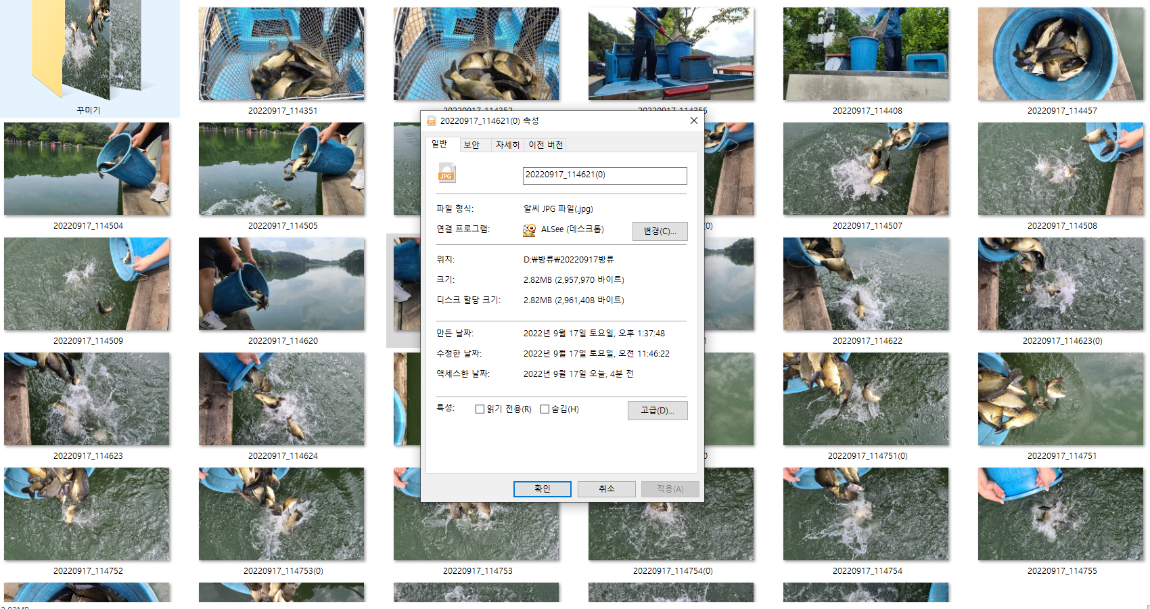 사용자 지정 1.png