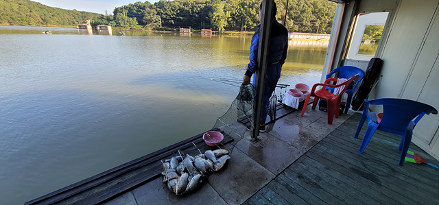 가깝고 물좋고 경치 좋은곳~~!!-용인삼인낚시터-