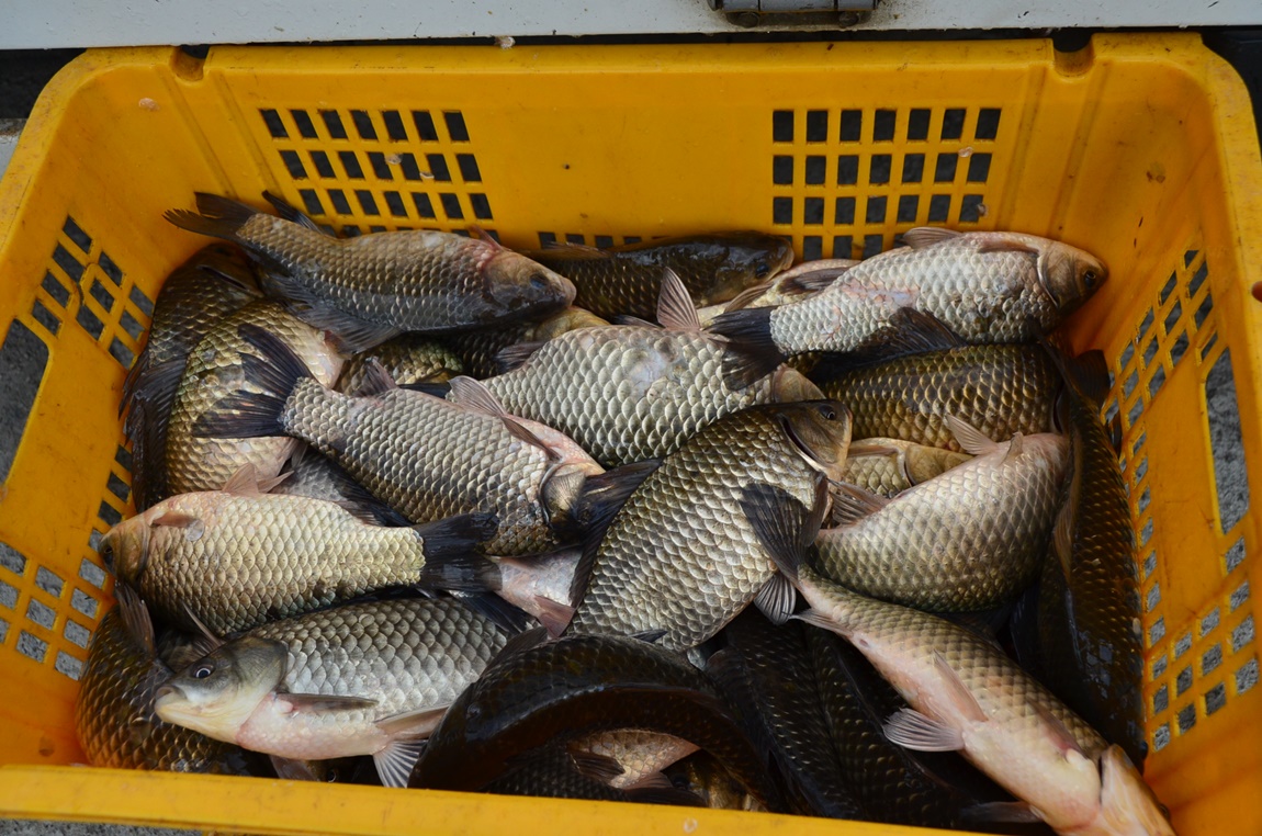 DSC_5411.JPG