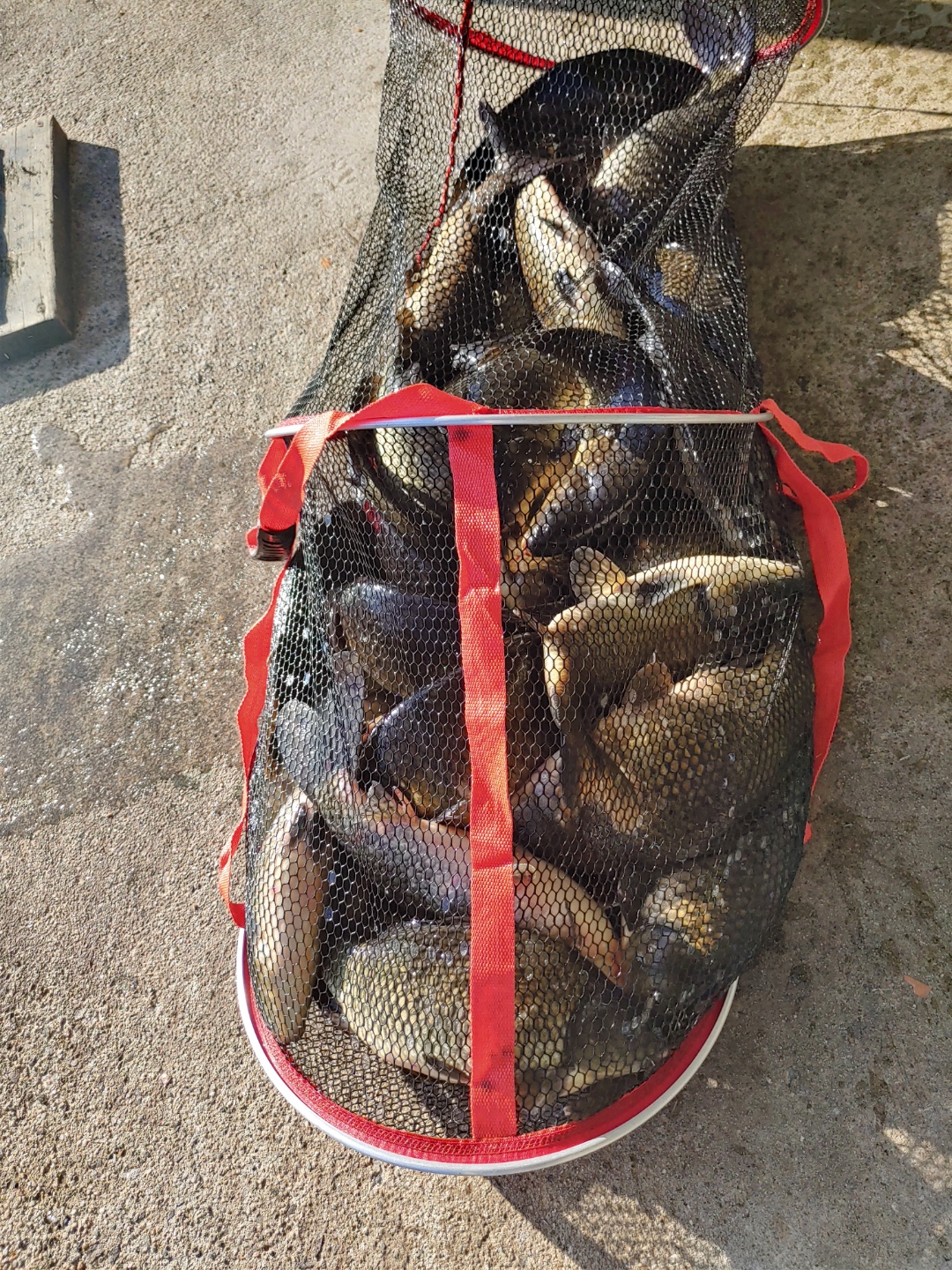 KakaoTalk_20220922_101847173.jpg