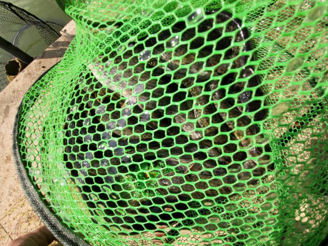 20220922_145127.jpg