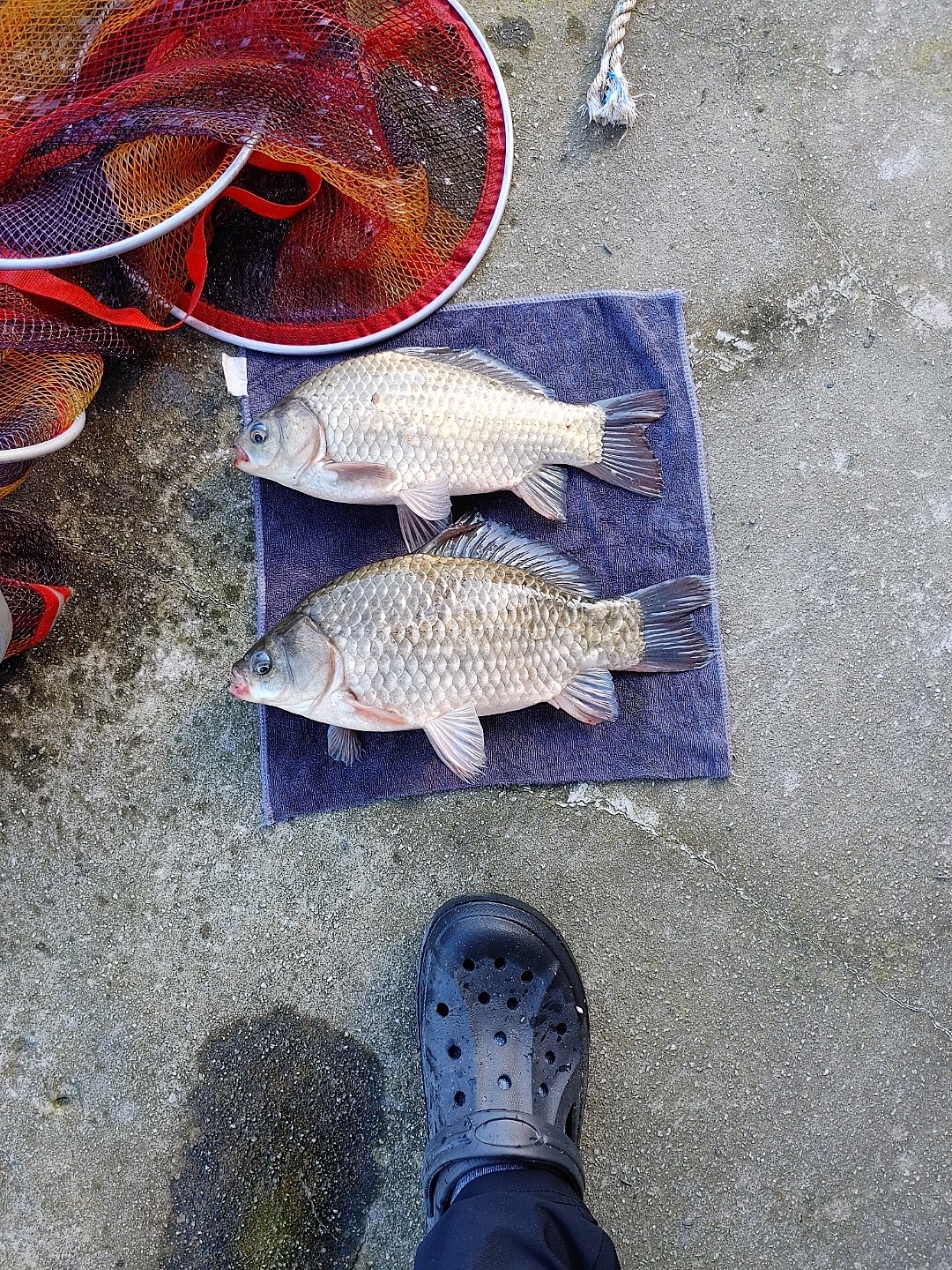 KakaoTalk_20220926_114920951.jpg