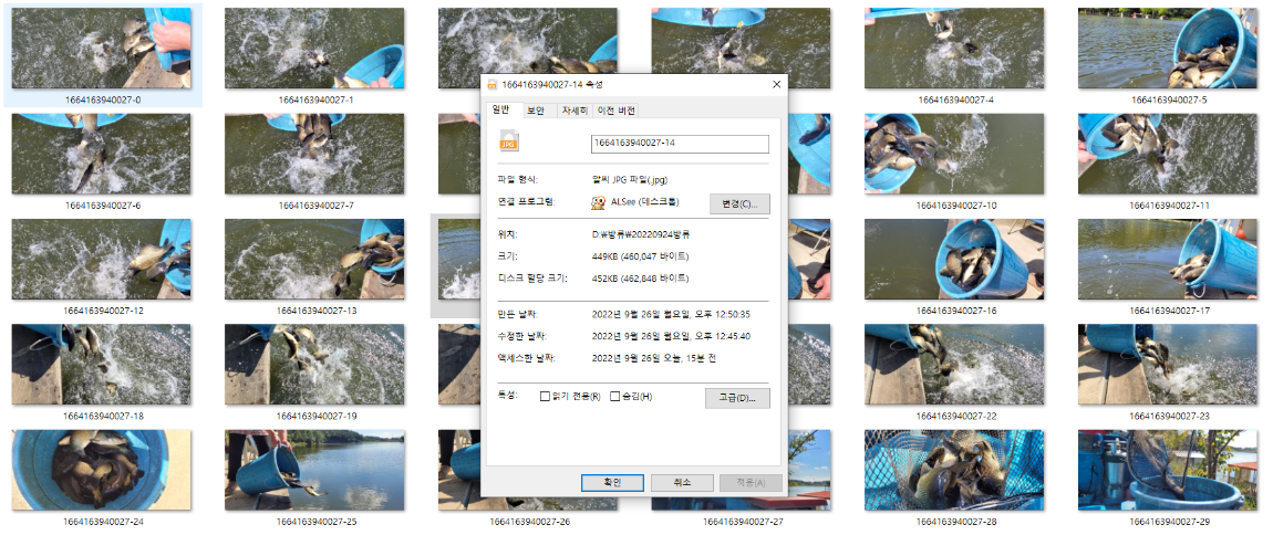 사용자 지정 1.png