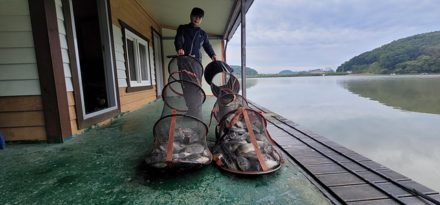 가깝고 물좋고 경치 좋은곳~~!!-용인삼인낚시터-