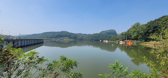 가깝고 물좋고 경치 좋은곳~~!!-용인삼인낚시터-