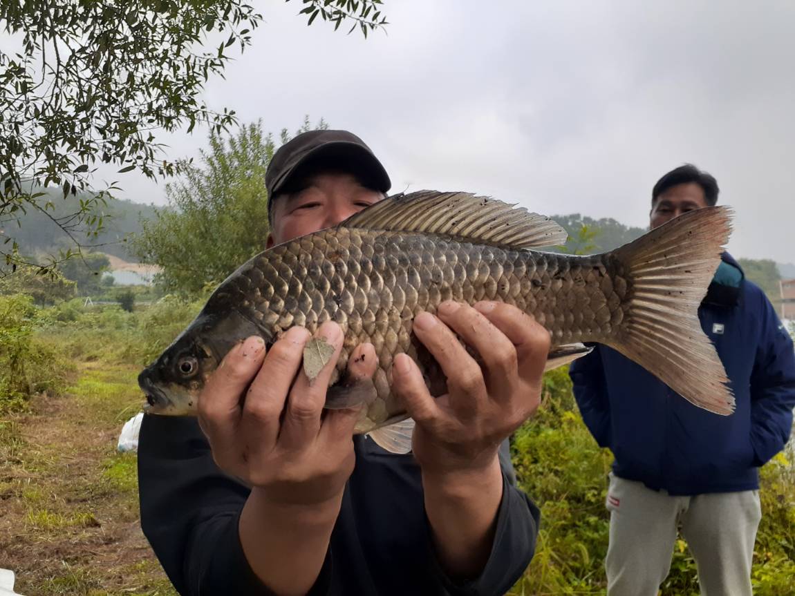 KakaoTalk_20221003_145139028.jpg
