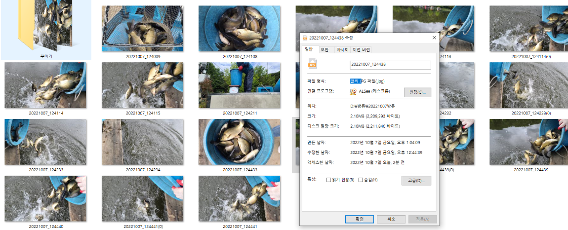 사용자 지정 1.png