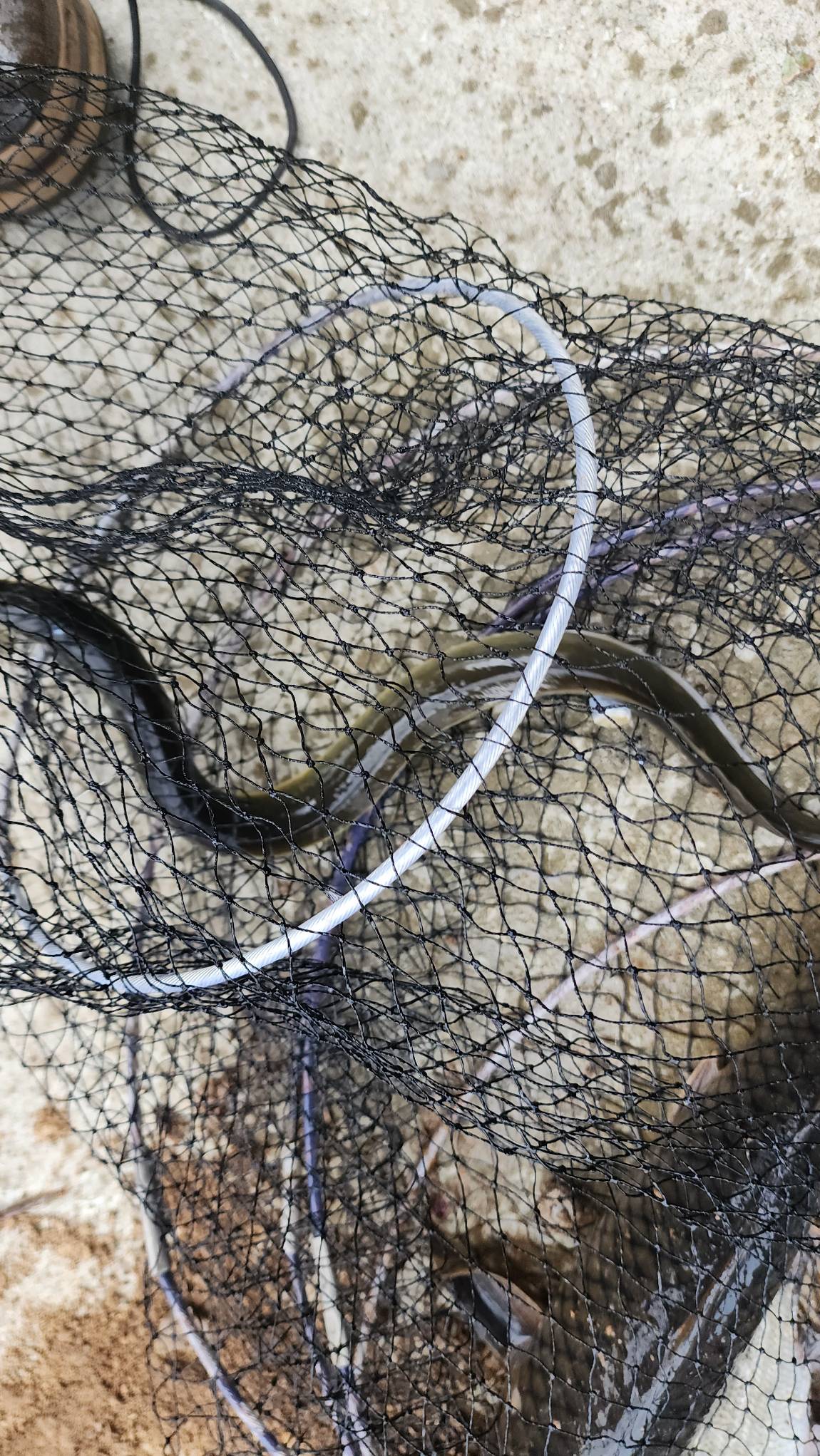 절대 꽝은 없죠~!!