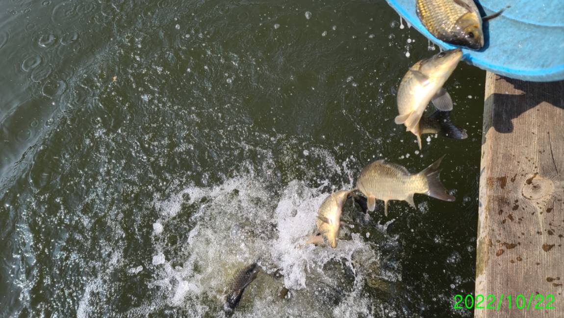 [꾸미기]1 (2).jpg