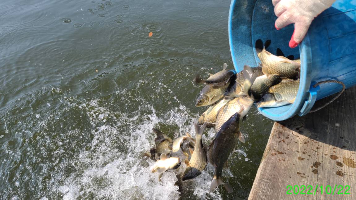 [꾸미기]1 (1).jpg