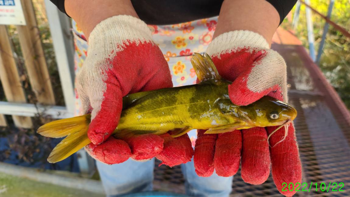 [꾸미기]1 (3).jpg