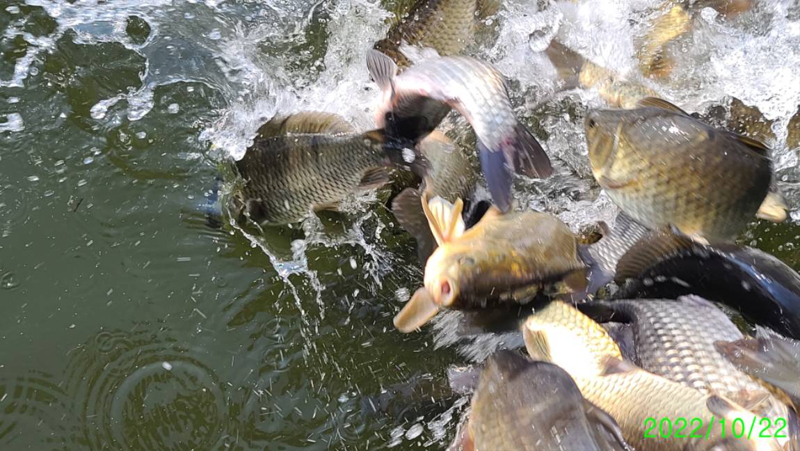 [꾸미기]1 (4).jpg