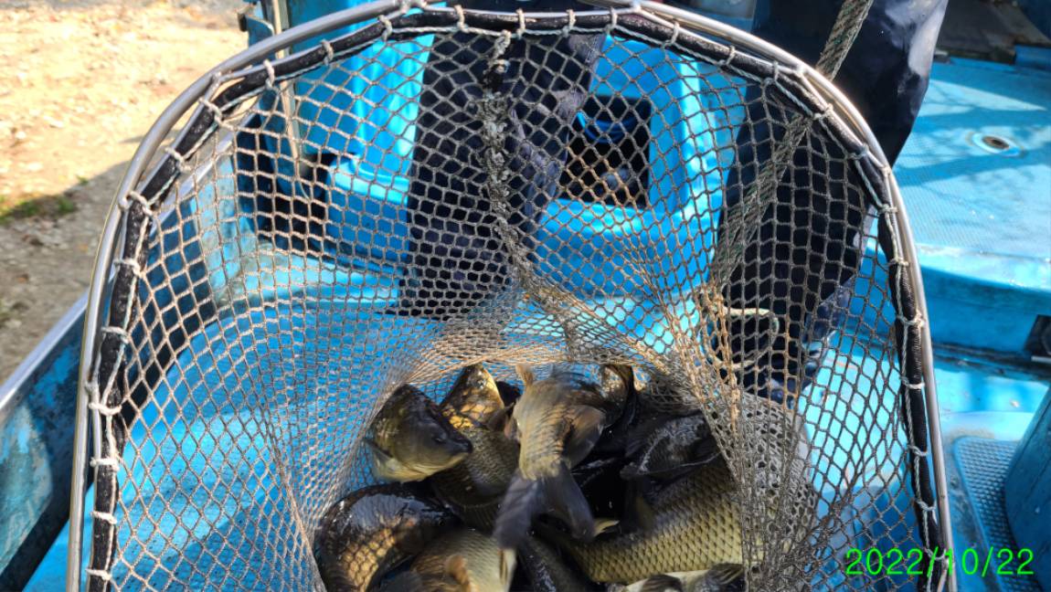 [꾸미기]1 (5).jpg