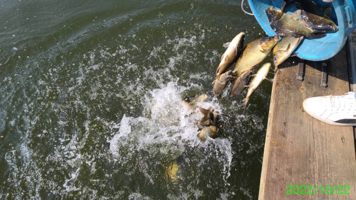 [꾸미기]1 (7).jpg