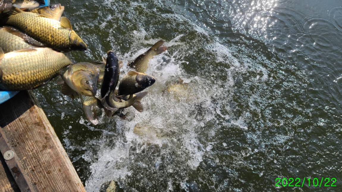 [꾸미기]1 (8).jpg