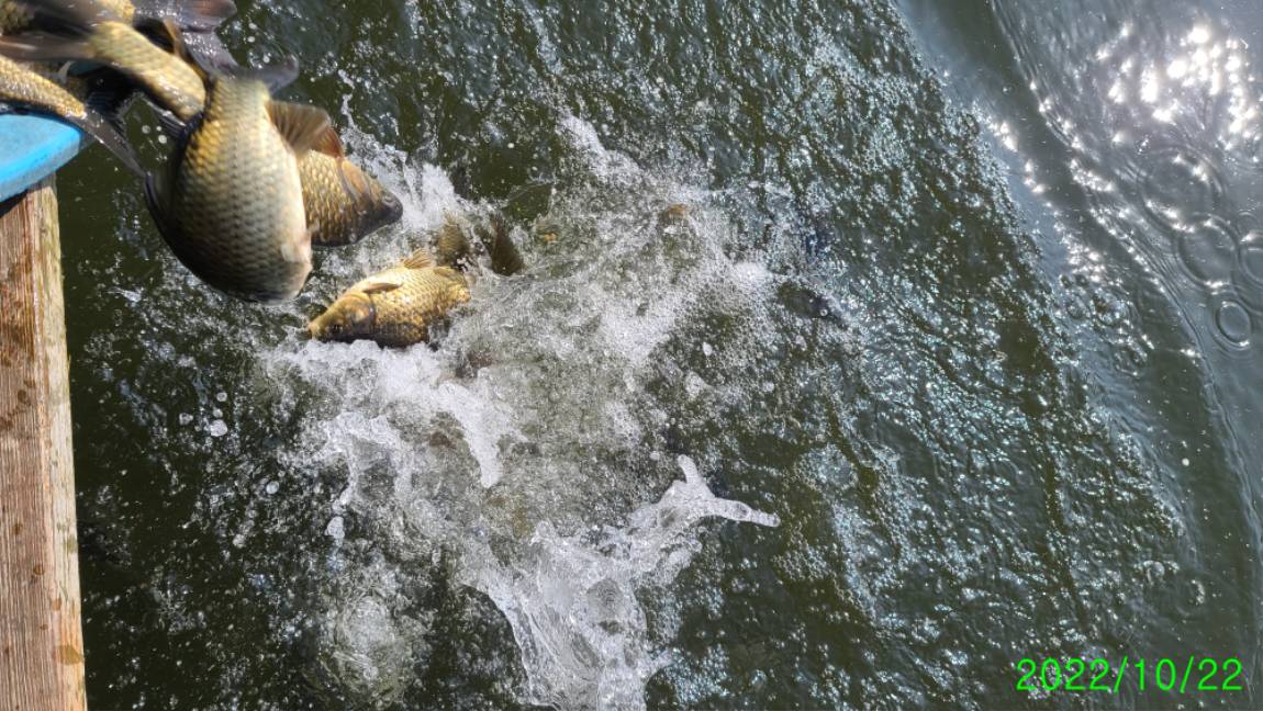 [꾸미기]1 (10).jpg