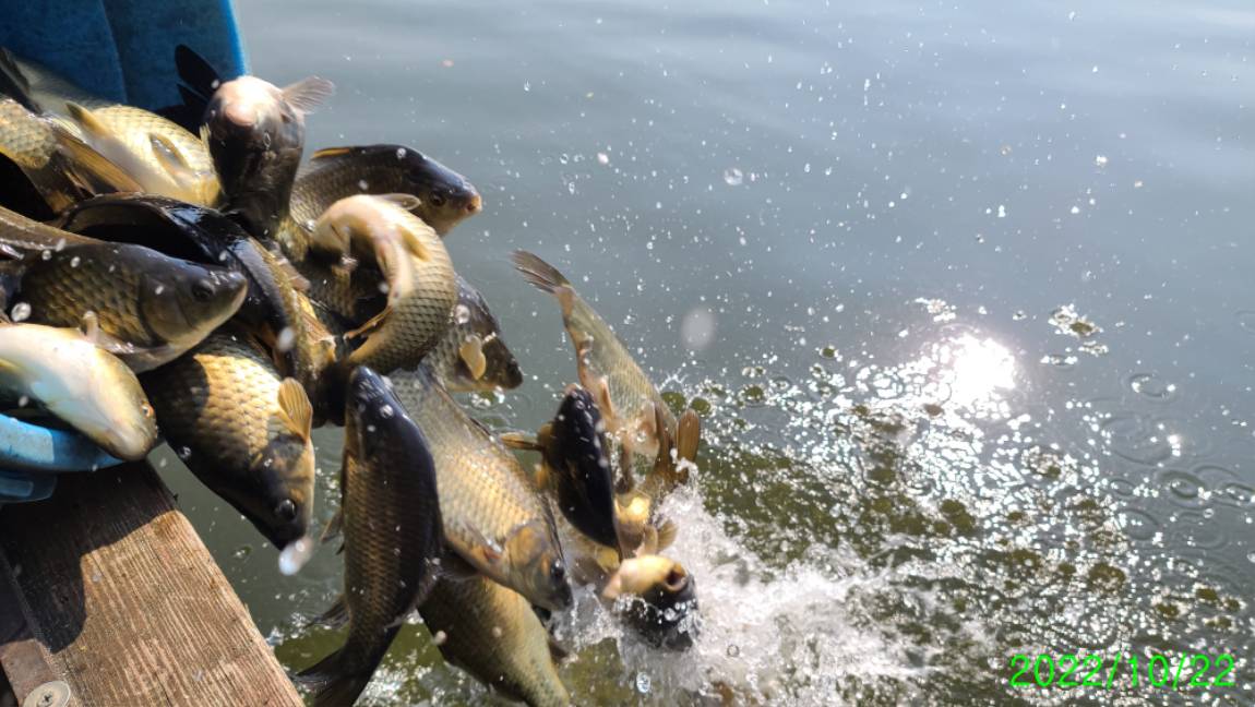 [꾸미기]1 (9).jpg