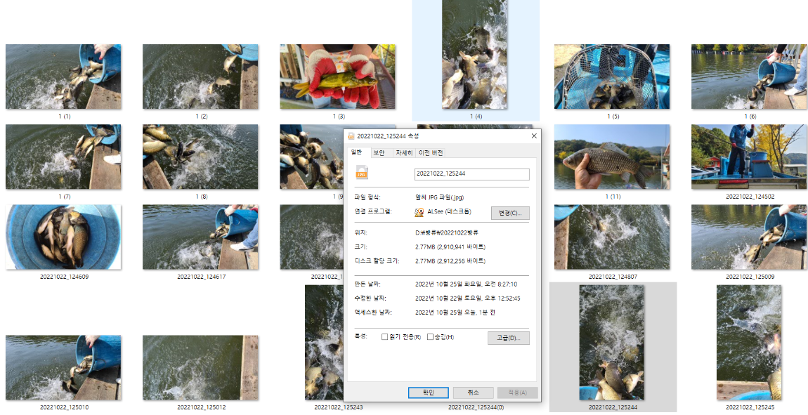 사용자 지정 1.png