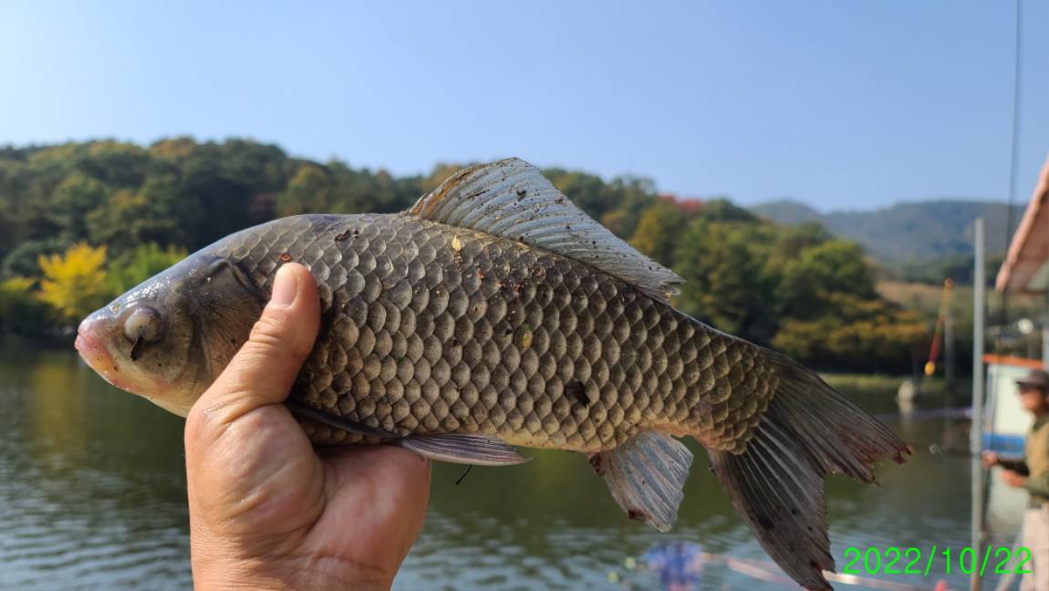 [꾸미기]1 (11).jpg