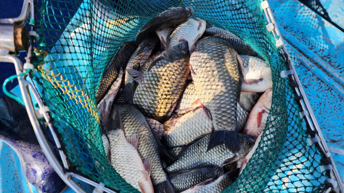 추워지는 날씨가 아쉬워~