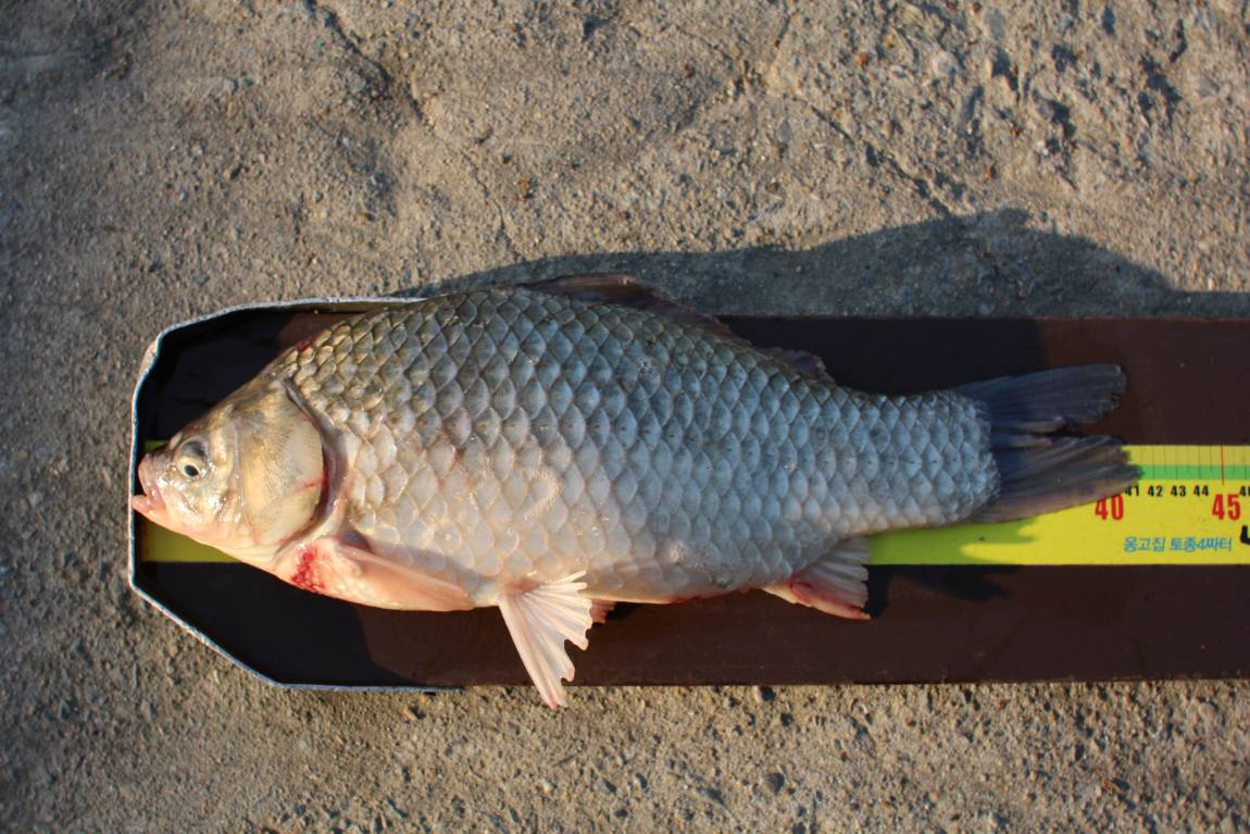 [ũ⺯ȯ]IMG_8711.JPG
