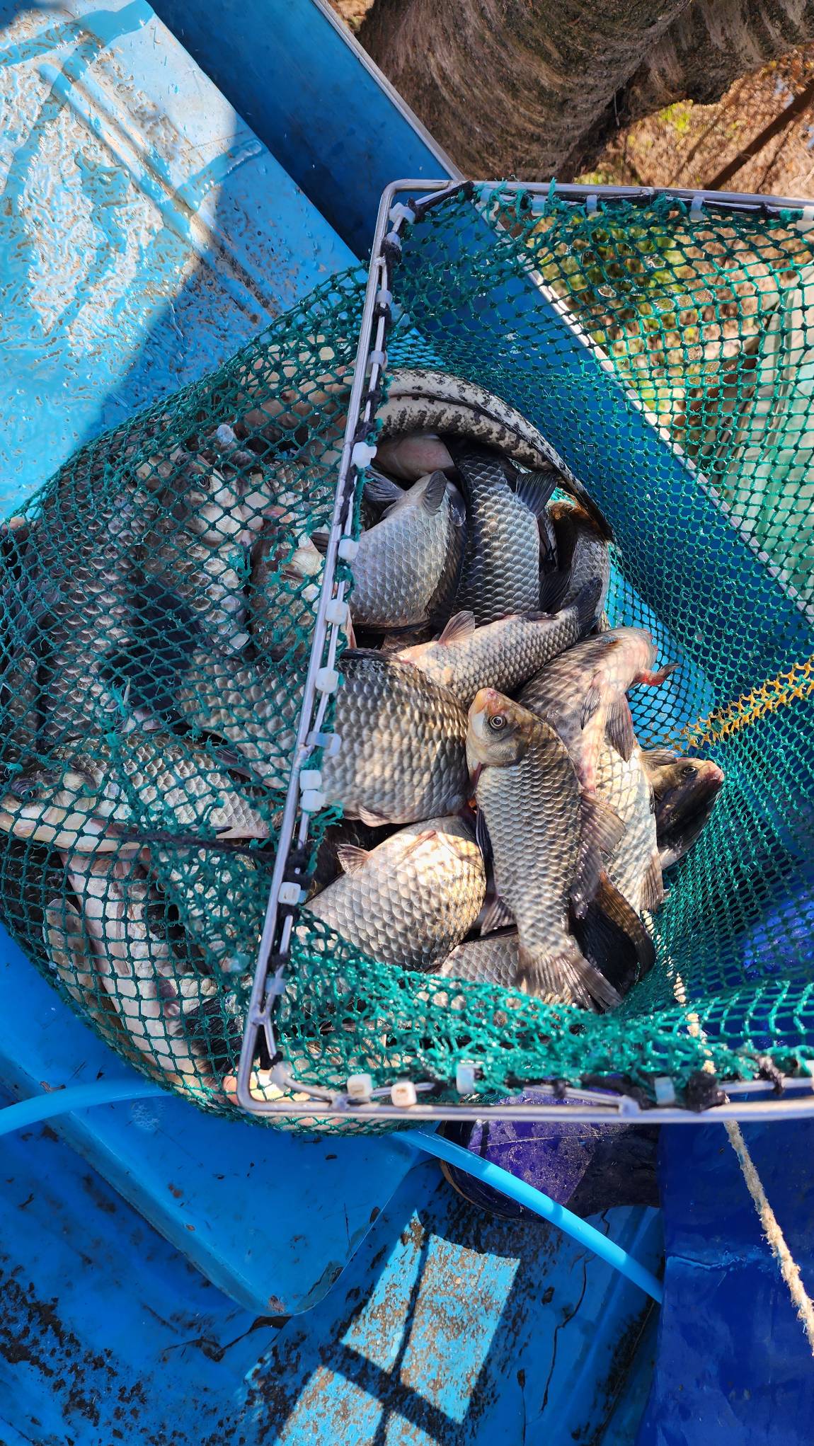 아직은 괜찮아요~