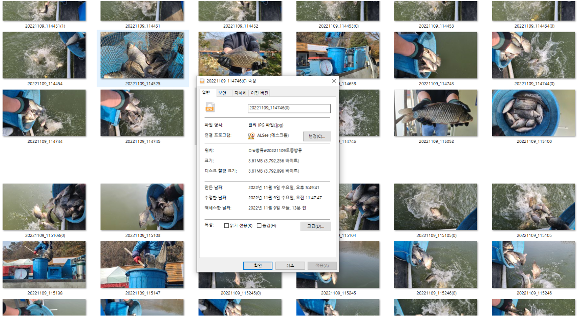 사용자 지정 1.png